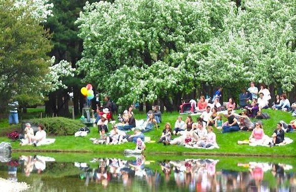 Un pique nique dédié aux célibataires au Parc de la Tête dOr Le Bonbon