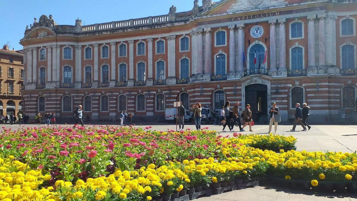 La place du Capitole va devenir végétalisée à Toulouse Le Bonbon