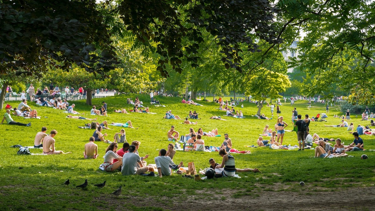 Un immense pique nique dédié aux célibataires au Parc de la Tête dOr