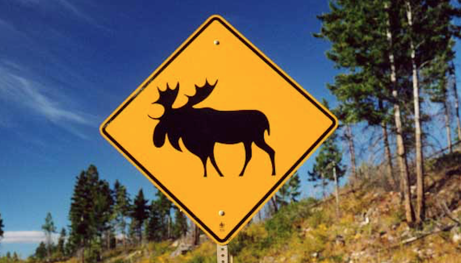 Canada recrute des français