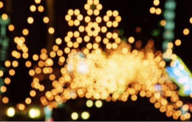 marché de noel lyon villeurbanne 