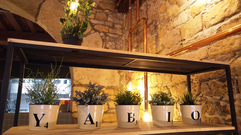 lyon-food-burger-bio