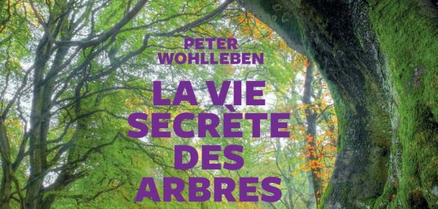 La vie secrète des arbres - Peter Wohlleben