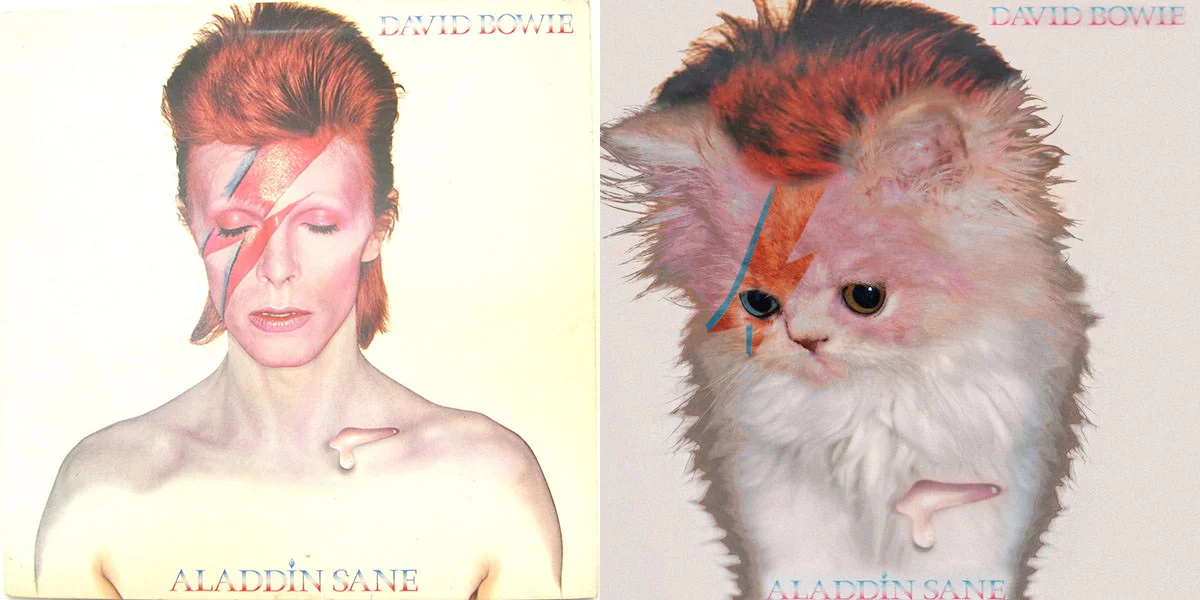 chat-david bowie-