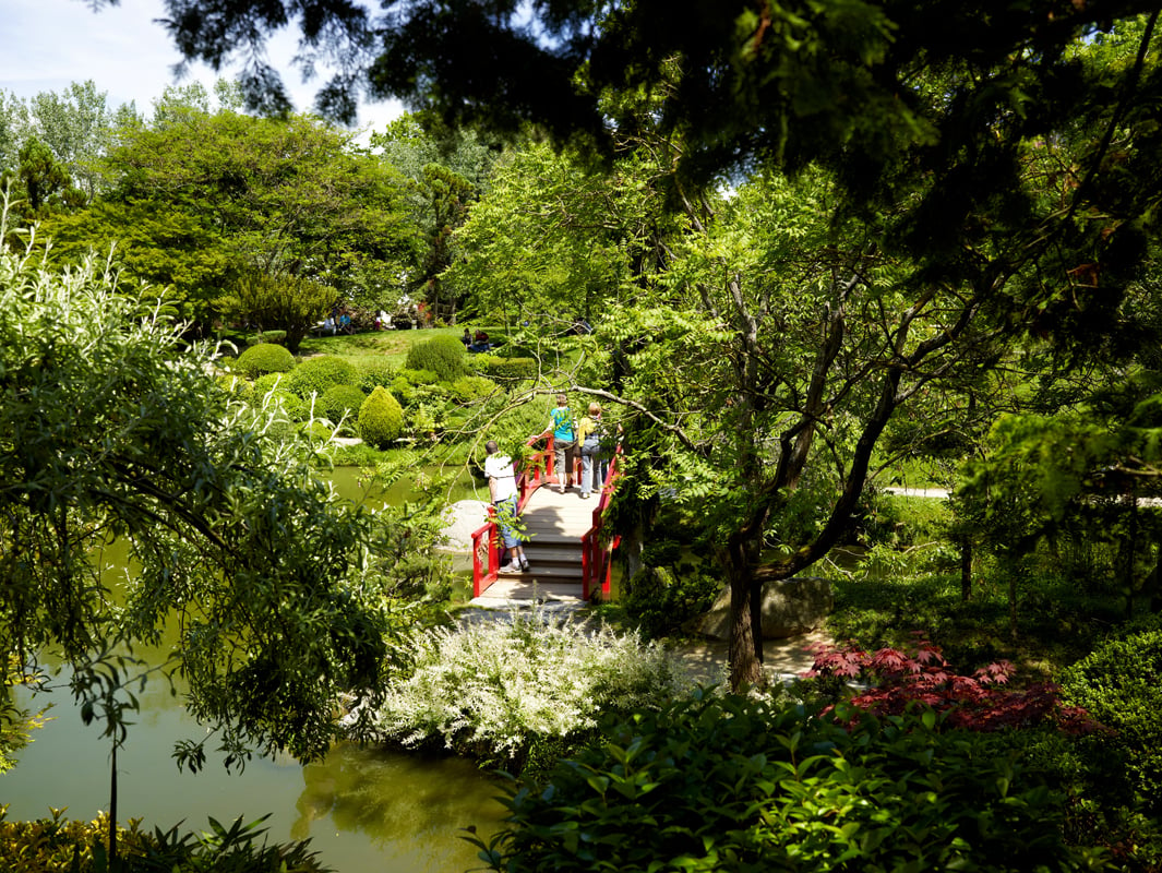 Parc Toulouse - Jardin Japonais 