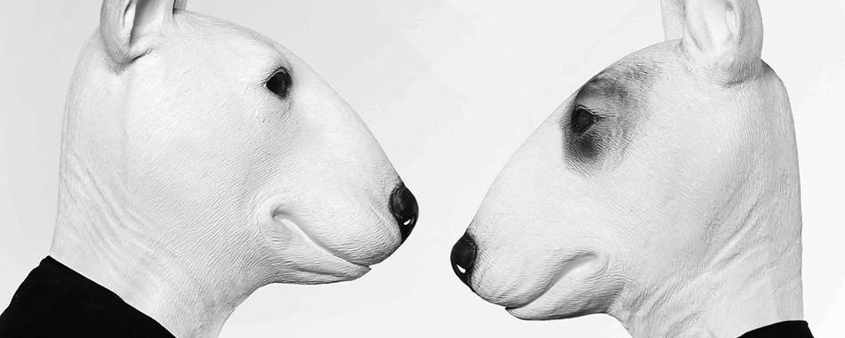 NEVERDOGS des soirées MUSIC ON