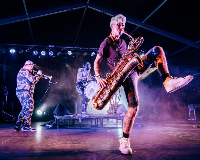 too many zooz nantes