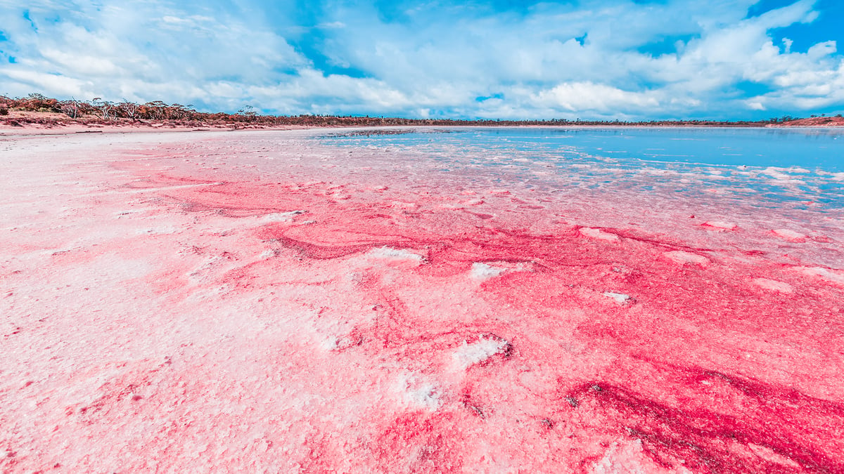 USA lac bord de couleur rose