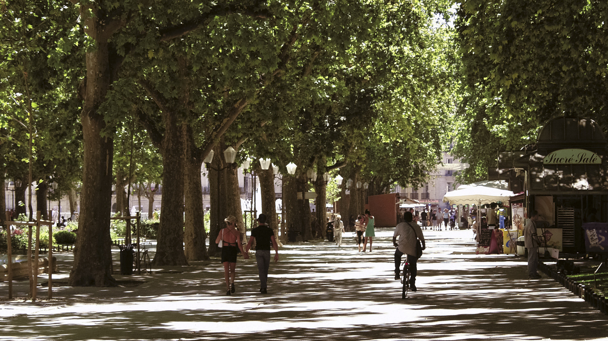 Pollution de l'air : Montpellier très en retard, selon Greenpeace istock-809869396-1-