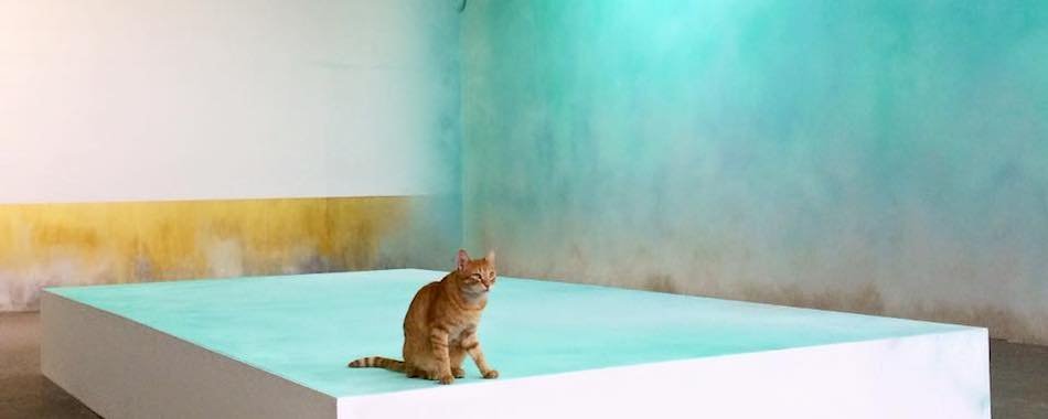 DOC, le nouveau squat arty du 19e 1puy9939kx