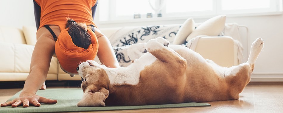 Tu n\'aurais jamais pensé à ça pour faire du sport chez toi 2zk9gen6xw