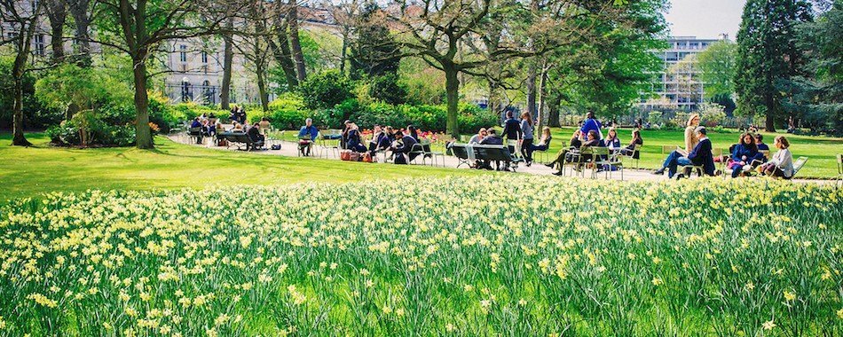 Les bibliothèques descendent dans les parcs et jardins 3coylwcrsj