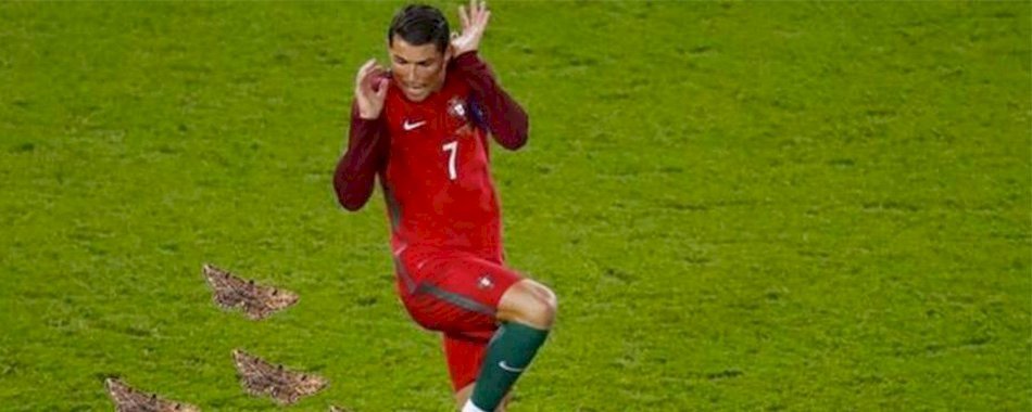 Comment se remonter le moral après cette finale ? 3mqvtwph90