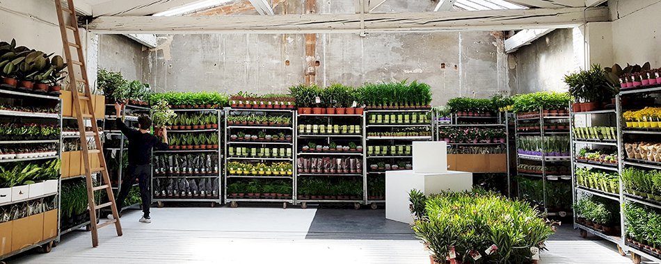 Plantes Pour Tous : La grande vente éphémère de plantes à 2€ fête sa 10e édition 3oltsit152