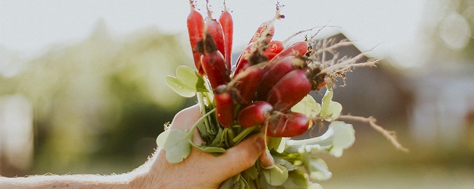 Le salon bio Marjolaine fait son retour à Paris 4a98p04tbx