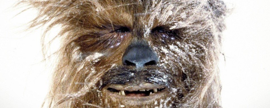 Lille : troisième ville française la plus fan de Star Wars ! 5dfre3muer