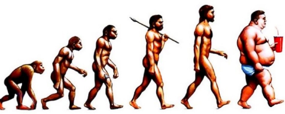 Les Nordistes sont-ils trop gros ? Oui... 6iqj8a8eah