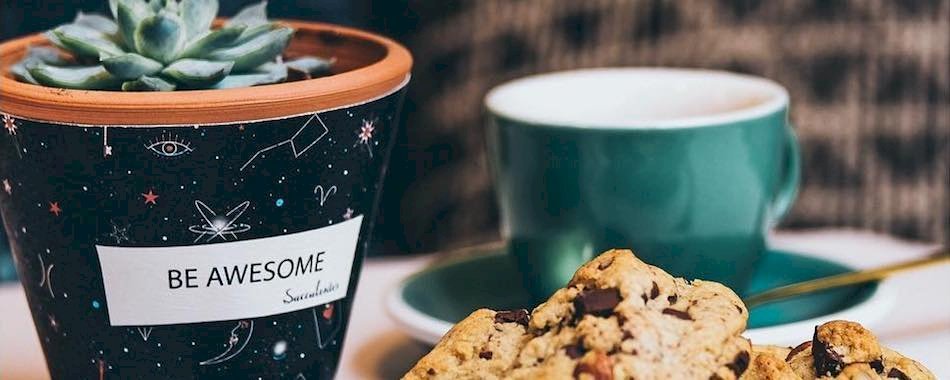 Cactus, pâtisseries et apéros dans le 6e 7t5i8cvtb5