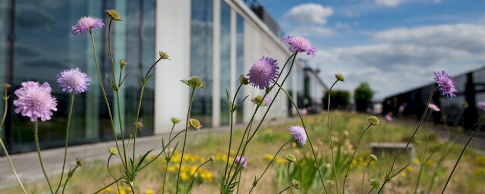 Les 3 bonnes nouvelles de la semaine à Paris 8445a5j5n1
