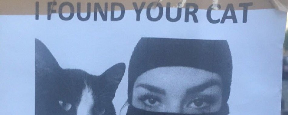 J\'AI TROUVÉ TON CHAT : les Bordelais sont vraiment très drôles 8xnygnljgy