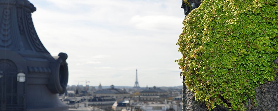 Le nouveau Jardin Perché et secret de la capitale apqv1krl79