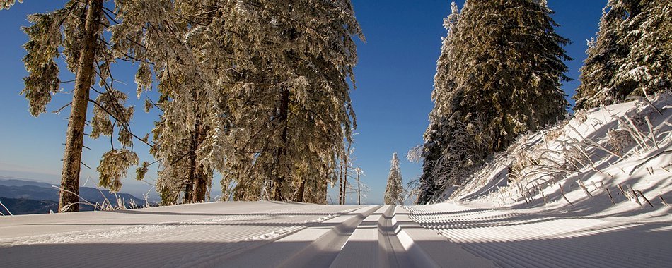 Une véritable station de ski aux Buttes Chaumont awvk1ep0pi
