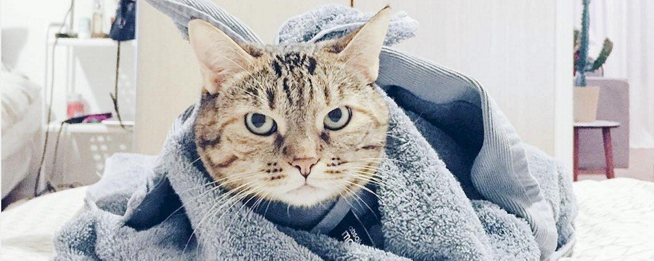 Les 10 Instagram les plus cool de la semaine bcolnkpwl5