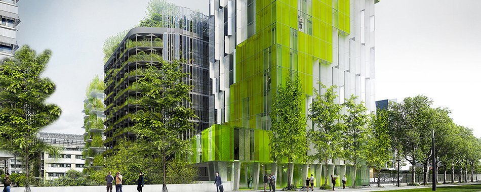 Des murs en algues pour dépolluer Paris ccvxqtooxy