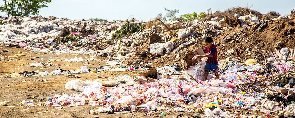 Le premier réseau local anti-gaspillage alimentaire de Paris voit le jour cni7effq0r