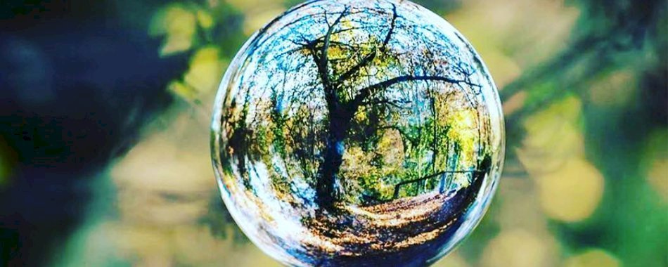 3 façons d’être écolo sans que ce soit une tannée d6037yg6hn