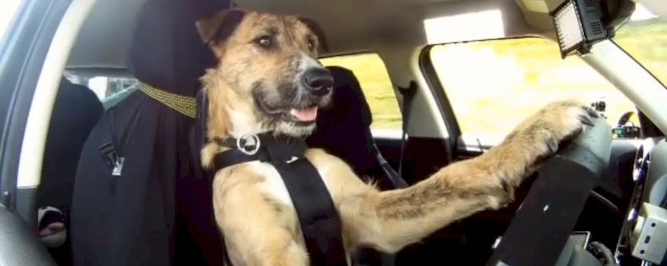 Rocade L2 Marseille, la vidéo explique les détails du tracé d97p3j1f7o