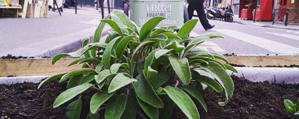 48h pour végétaliser Paris : réveille ton âme de jardinier du17ezmesp