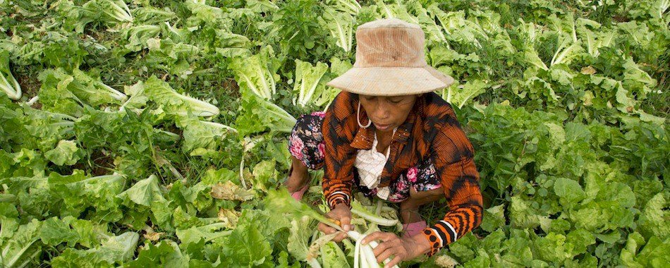 Babyloan, le prêt solidaire 2.0 eifi4ce2f8