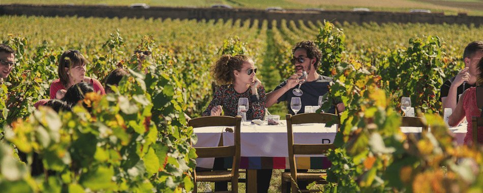 Aix : viens faire une rando culinaire dans les vignes ! eldp4q5bvh