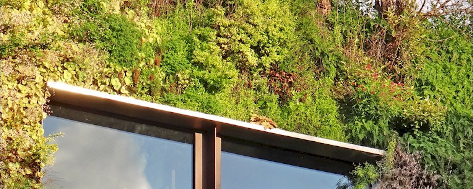 Des milliers de graines gratuites pour les 48 heures de l’agriculture urbaine f7dilf9x3e