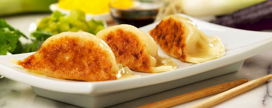 Gyoza Factory : le bar à raviolis gxnthwwnlo