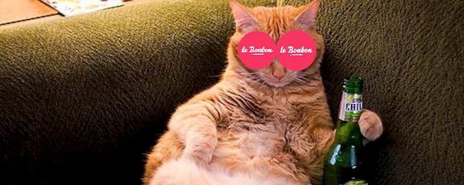 Que faire à Marseille ce week-end (02-03.12) h9y8q5jxvd