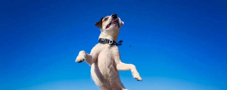 Les bons plans du week-end i662wy711k