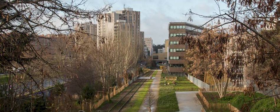 8 balades à faire à Paris sans croiser une voiture i9i5jl8mpx