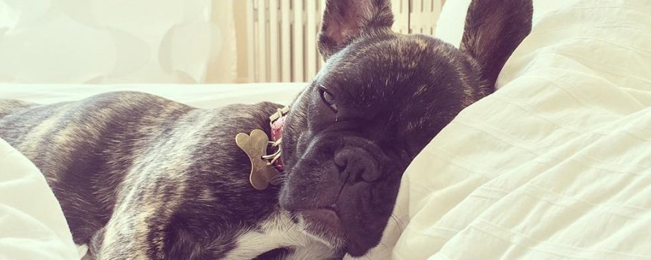 Comment lutter contre le coup de pompe de la rentrée in38uuuqxb