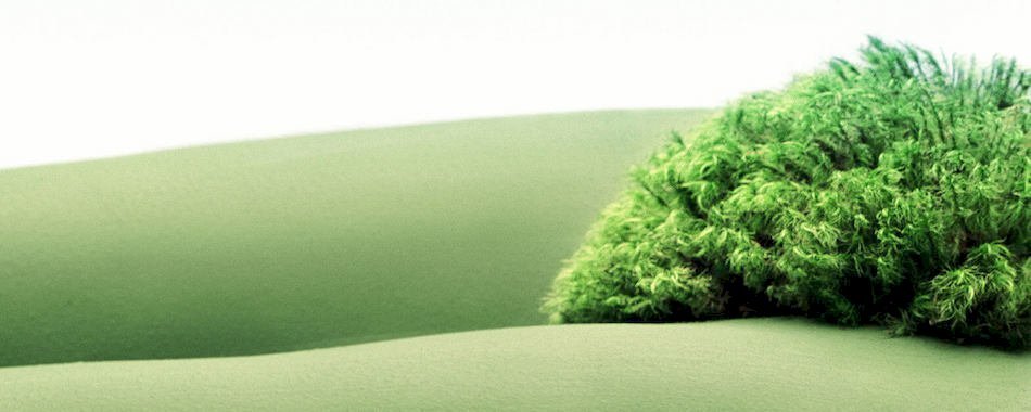 8 bonnes raisons de laisser son pubis tranquille iyfaziqjxn