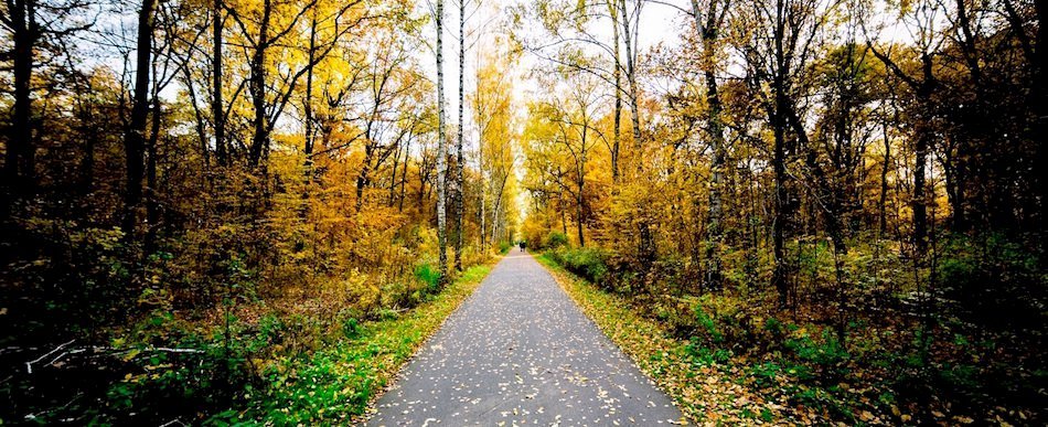 Où se balader dans la nature à Paris hors des sentiers battus ? jajt5g5oiz