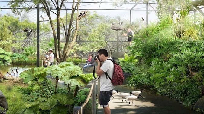 Foret D'asie Parc De La Tete D'or Le parc de la Tête d'Or va accueillir une forêt asiatique peuplée d