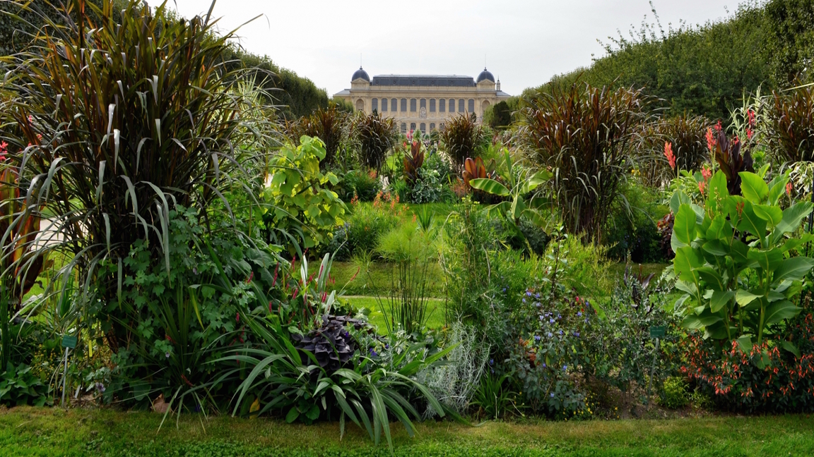 Tout ce qu'il faut savoir sur le Jardin des Plantes de Paris | Le Bonbon
