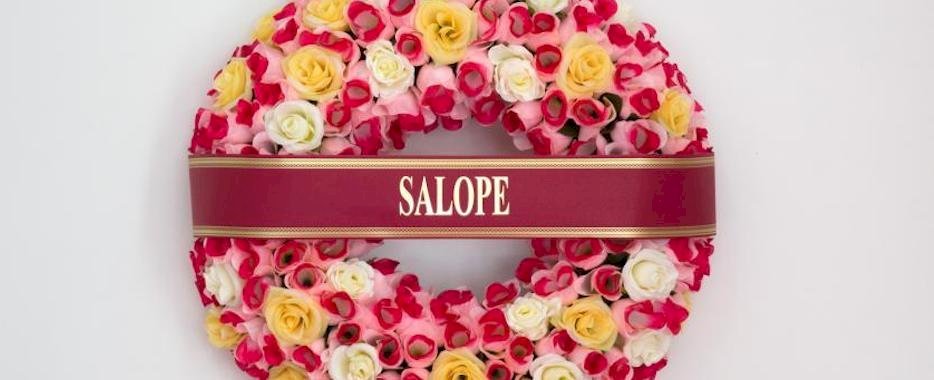 Salope et autres noms d\'oiselles : petite histoire des insultes envers les femmes kswbwodwdf