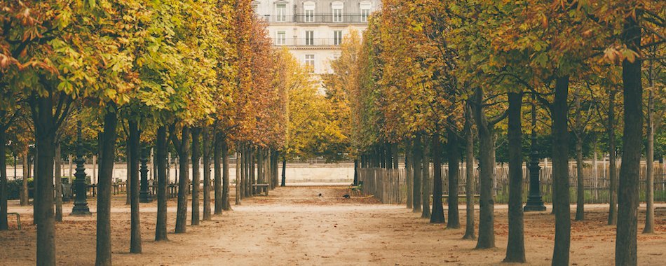 Que faire à Paris ce week-end ? (3-5 nov) kzb68z3er1