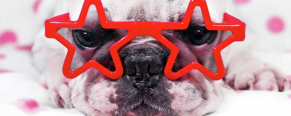 Lunettes pas chères ! ly64srf1jy