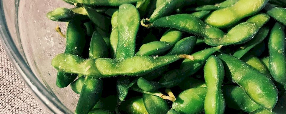 10 aliments qui remplacent la viande quand on est végétarien mwlse2v5qp