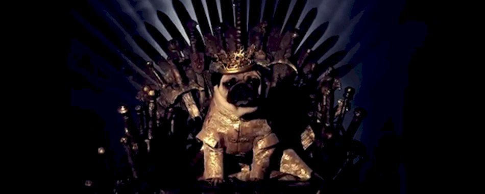 Le générique de Game of thrones joué par des chiens nky9tbf5hi