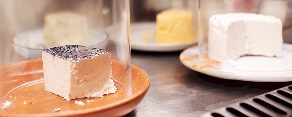 Fabriquez votre fromage vegan sans lait animal avec cette recette